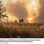 纳尔邦和卡尔卡松之间的地区森林大火有上千名消防员和救援人员救援灭火