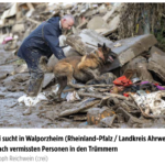警方用搜救犬在瓦波尔茨海姆（莱法州 阿尔韦勒区）的废墟中寻找失踪者