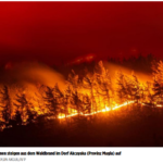 阿卡亚卡村（穆格拉省）的森林火灾升起火焰