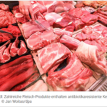 在Aldi和Lidl：许多肉类产品含有耐抗生素病菌