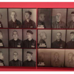 图 集中营里的同性恋者被用粉色三角标记