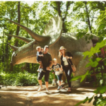 图 Bautzen恐龙公园